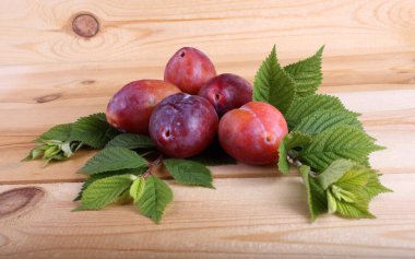 Olgun taze erikler. görünümü kapat