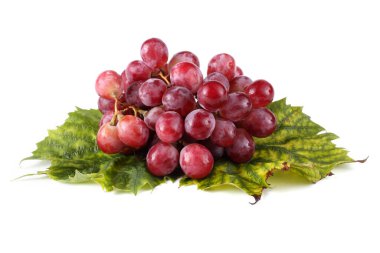 Sonbahar yapraklarındaki taze üzümler beyaza izole edilmiş.