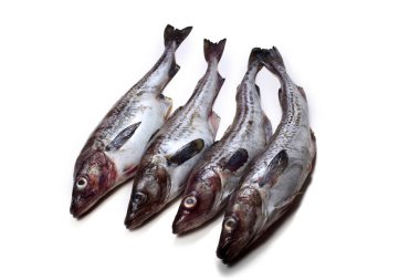 Beyaz arkaplanda Pollock