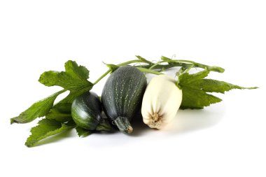 Kabak ve yapraklar beyaz üzerine izole