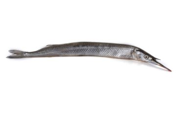 Garfish beyazda izole edilmiş.