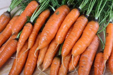 Olgun taze havuçlara yakın dur.