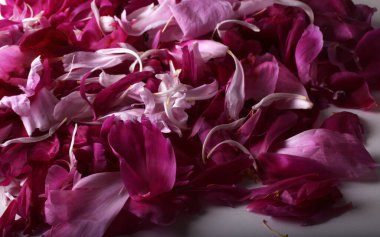 İnanılmaz çiçeklere yakın.