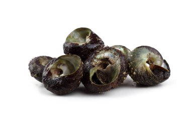 Deniz salyangozu. Uzak doğu mutfağında bu yumuşakçayı kullanın.