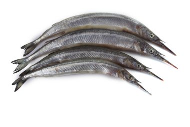 Garfish beyazda izole edilmiş.
