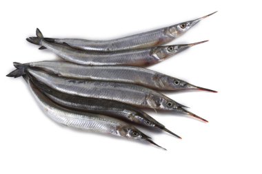 Garfish beyazda izole edilmiş.