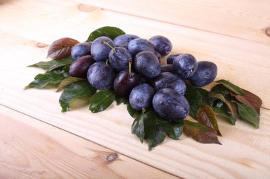 Olgun taze erikler. görünümü kapat