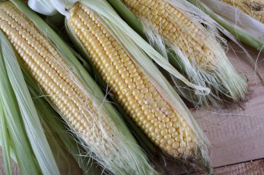 Masada mısır var. Ülke biçimi