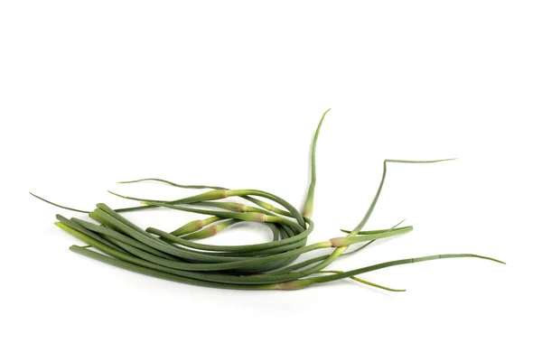 Garlic Arrows Isolated White Far Eastern Cuisine Use Plant — Stock Photo, Image