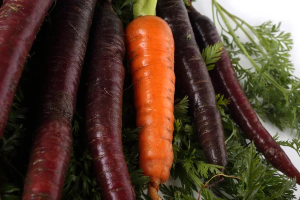 胡萝卜和不同寻常的紫罗兰色胡萝卜背景 — 图库照片
