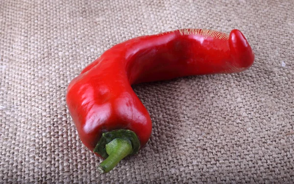 Hot Pepper Bagging — Stock Photo, Image