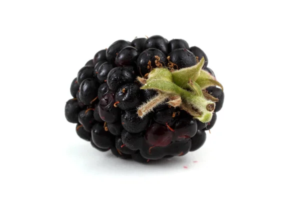 Blackberry White Background — Stock Photo, Image