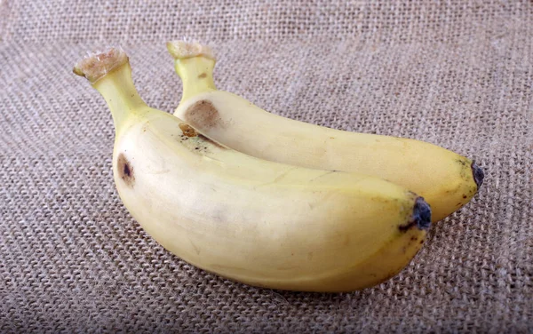 Close Tropical Banana Fruits — Stock Photo, Image
