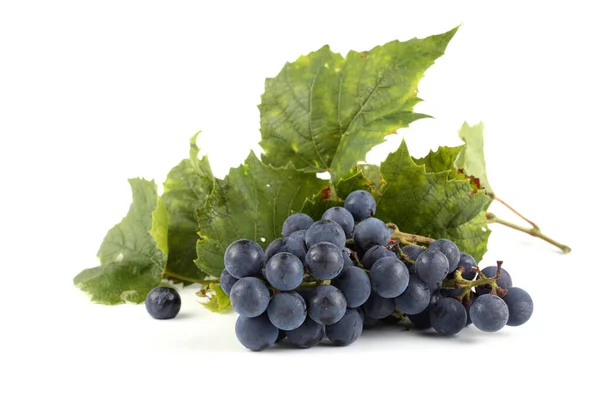 Winogrona Liście Wyizolowane Białym — Zdjęcie stockowe