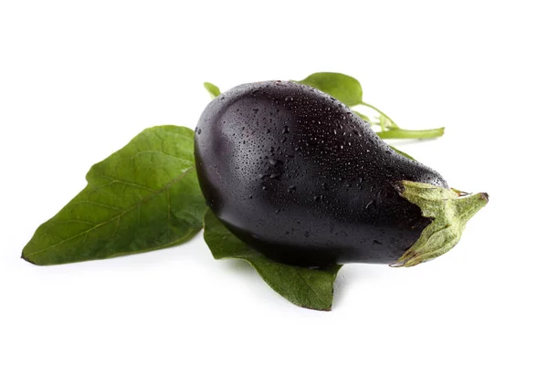 Aubergine Isolated White — Stock Photo, Image