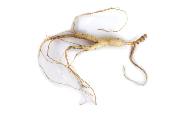 ginseng beyaz arkaplanda izole edildi