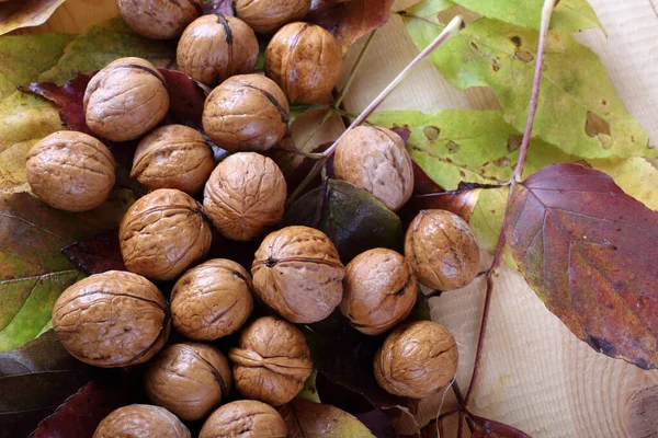 Walnuts Autumn Leaves Table — Stock Photo, Image