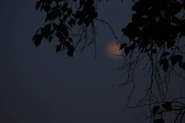 Luna Nubes Cielo Nocturno — Foto de Stock