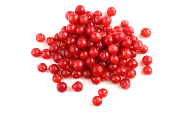 Nanking Cherry Diisolasi Atas Putih — Stok Foto