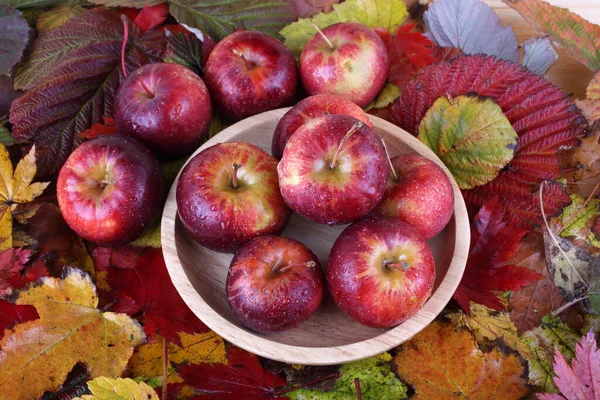 Gros Plan Pommes Fraîches Mûres — Photo