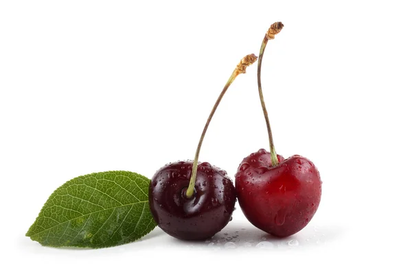 Cerises Isolées Sur Fond Blanc — Photo