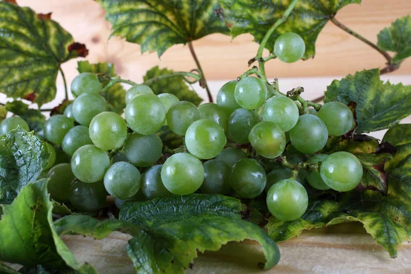 Grön Vindruva Bordet För Vitt Vin — Stockfoto