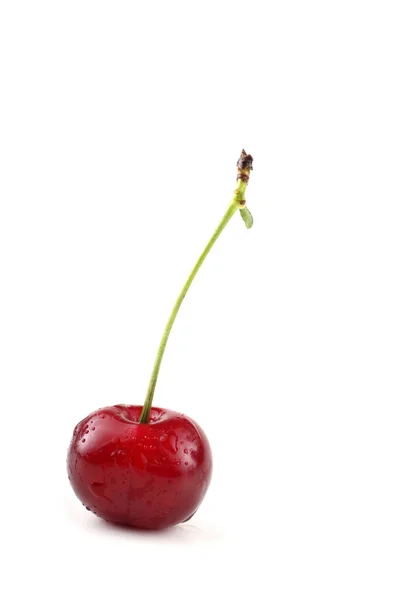 Cerezas Aisladas Sobre Fondo Blanco — Foto de Stock