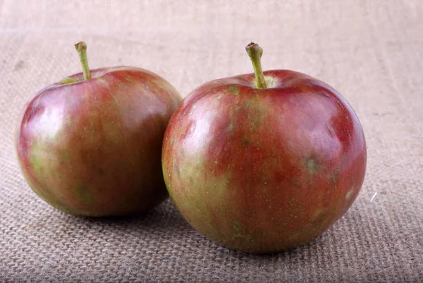 Gros Plan Pommes Fraîches Mûres — Photo