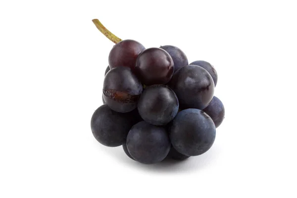 Raisin Noir Pour Vin Rouge — Photo