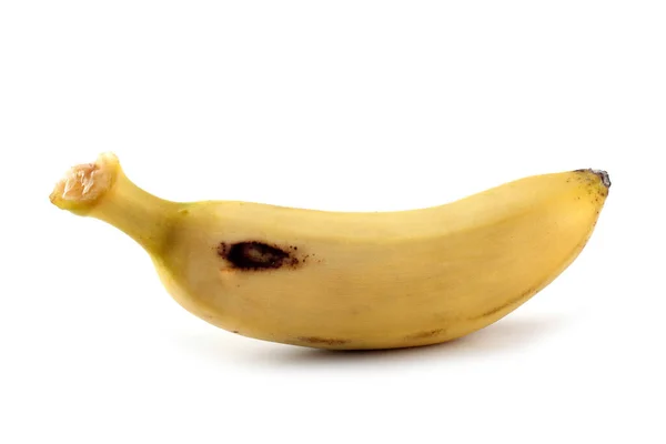 Κίτρινες Μπανάνες Λευκό Φόντο — Φωτογραφία Αρχείου