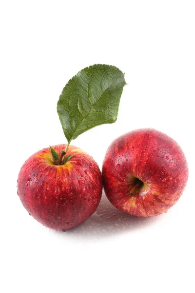 Primer Plano Manzanas Frescas Maduras —  Fotos de Stock