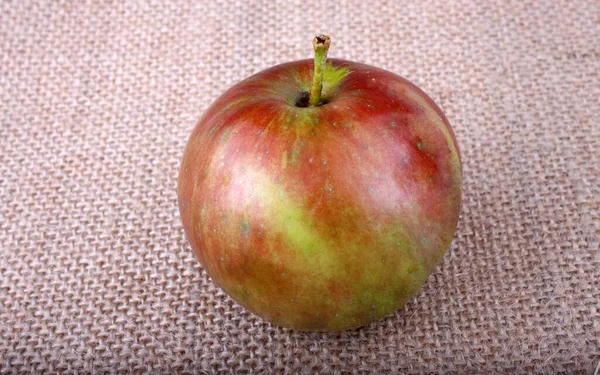 Primer Plano Manzanas Frescas Maduras — Foto de Stock