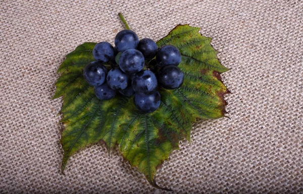 Variedad Vino Para Vino Tinto — Foto de Stock