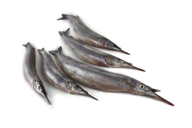 Garfish beyazda izole edilmiş.