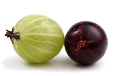 Taze olgun bektaşi üzümlerine yakın durun.