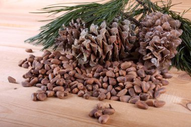 Sedir çam fıstığı masada.