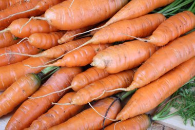 Olgun taze havuçlara yakın dur.