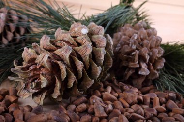 Çam fıstığı. Hassasiyet