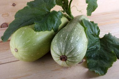 Masada kabak var. Ülke biçimi