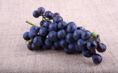 Poşetleme üstüne üzüm. Şarap çeşidi.