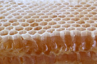 taze ve lezzetli bal peteği