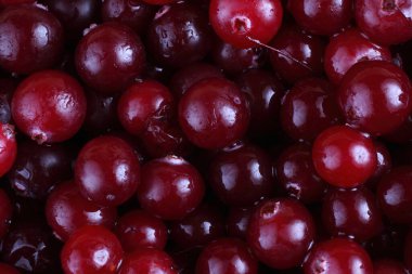 Taze ekşi yaban mersinlerini kapatın.