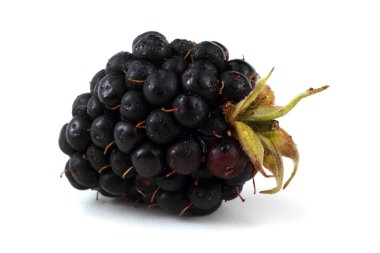 Taze böğürtlen hasadını kapat