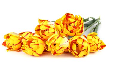 İnanılmaz çiçeklere yakın.