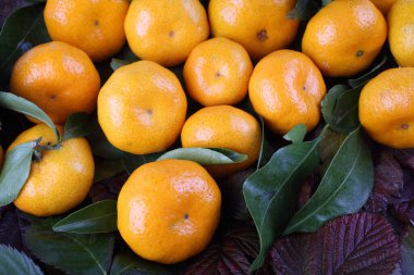 Bir sürü mandalina. Kapat.