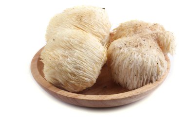 Hericium erinaceus mantarı (maymun kafası mantarı, sakallı diş mantarı, kirpi mantarı, ponpon, aslan yelesi mantarı))