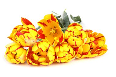 İnanılmaz çiçeklere yakın.