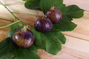 İncirler masada. Ülke biçimi