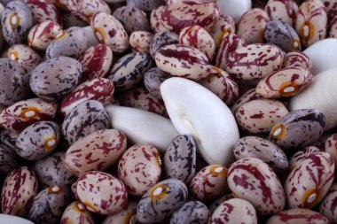 Taze fasulye yakın çekim