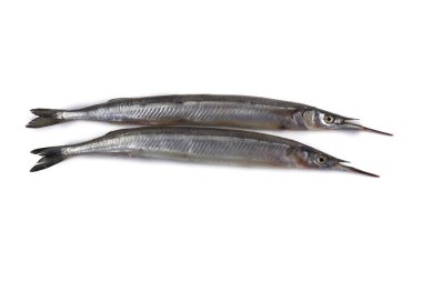 Garfish beyazda izole edilmiş.